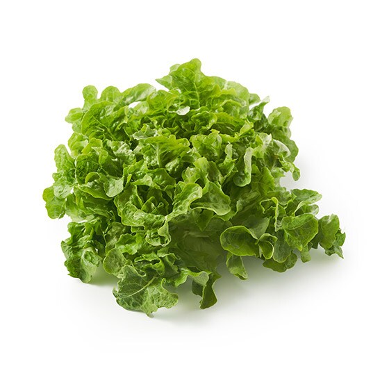 座間直納】【◎ちゃんとOisix】グリーンオークレタス(茨城県産)|有機