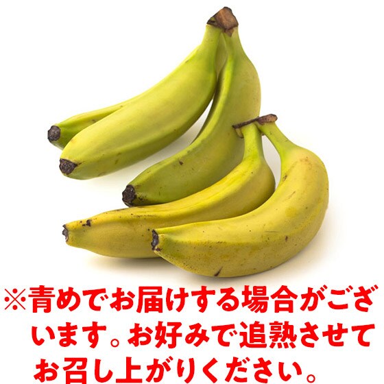y߂pzL@͔|oii(y[Y)