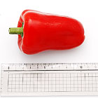 ���a��10cm