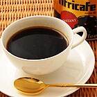 �A�t���J�t�F����ꂽ�l�q