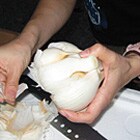 �����̎�̂Ђ�T�C�Y�ł�