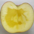 蜜がたっぷり