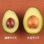 ���傫���̔�r