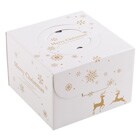 �N���X�}�X��p�̃P�[�L���ł��͂����܂�