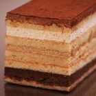 7�w�̃n�[���j�[