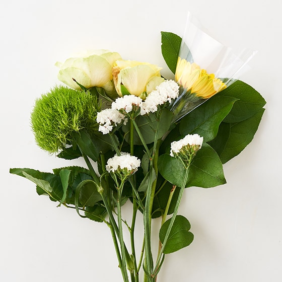�G�߂ɂ��l�X�ȕ��͋C�̃u�[�P�����͂��v���܂�