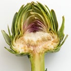 KNƉԂ̕菜ԔłB