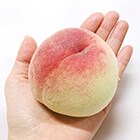 サイズの目安です