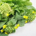 花が一部咲いている場合がございますが、お召し上がりいただけるものです。予めご了承ください。