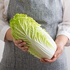 サイズの目安です。