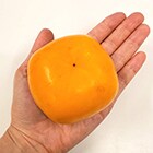 サイズの目安です