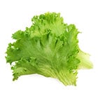 t^X