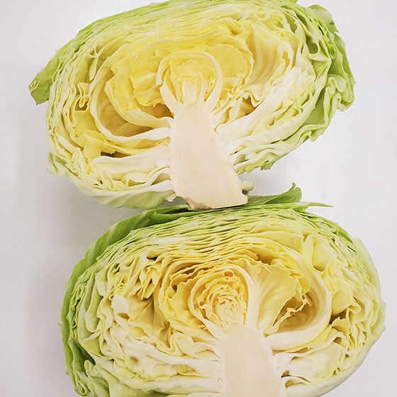 t_炩ӂƂ̕ił