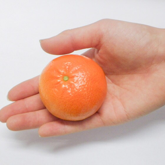 �T�C�Y�̖ڈ��ł�