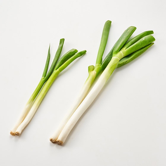夏のミニねぎ(山形県産)|有機野菜 通販 Oisix(おいしっくす)