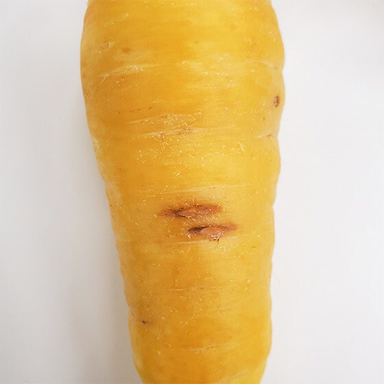 �ӂ��낢�̂��߁A������Ă��Ղ�������̂��������܂�