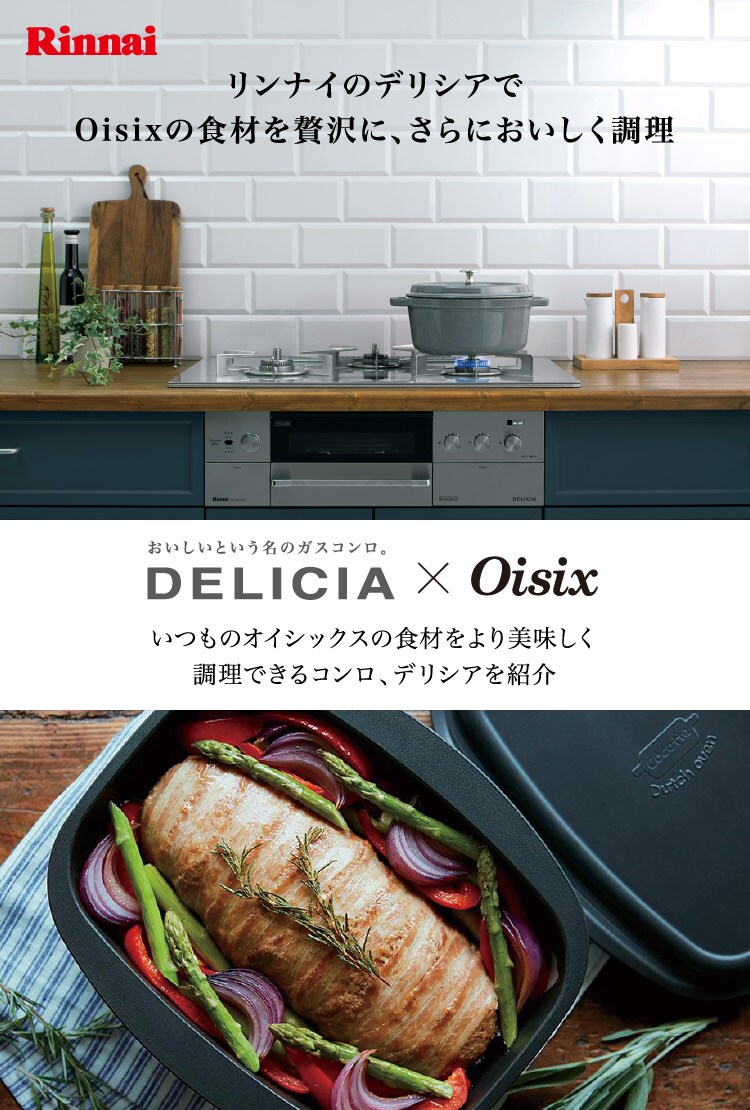 リンナイDELICIA ココット鍋 レシピ本一式（お家で本格カレー