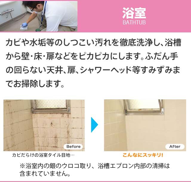 プロのお掃除サービス、カジタクの「家事玄人（カジクラウド