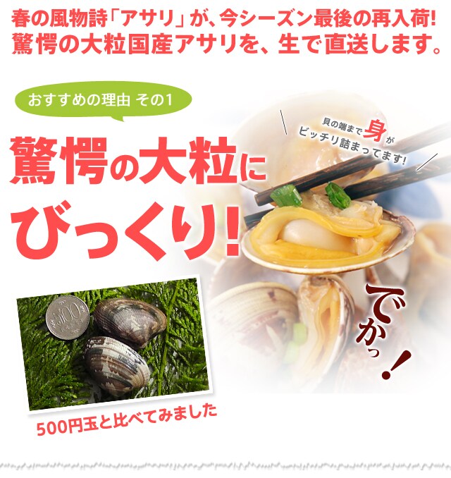大粒天然アサリ ｏｉｓｉｘ産直おとりよせ市場