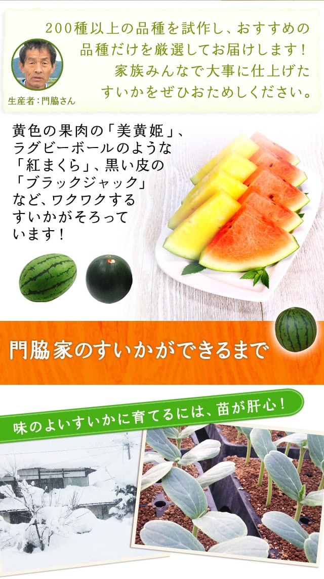 門脇セレクトすいか ｏｉｓｉｘ産直おとりよせ市場