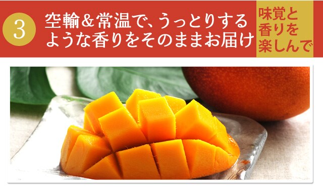 楽園マンゴー ｜ Oisix産直おとりよせ市場