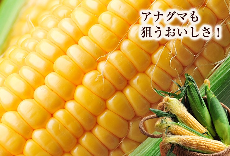 極生フルーツコーン｜ Oisix産直おとりよせ市場