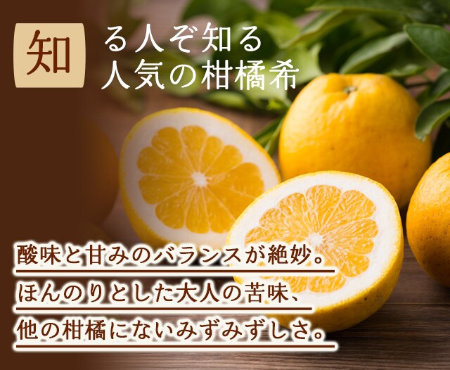 河内晩柑 ｜ Oisix産直おとりよせ市場