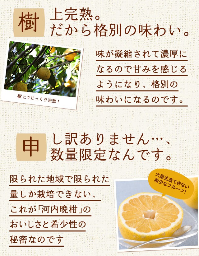 河内晩柑 ｜ Oisix産直おとりよせ市場