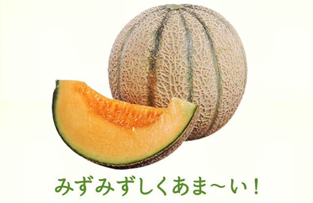 とろ～り完熟メロン｜ Oisix産直おとりよせ市場