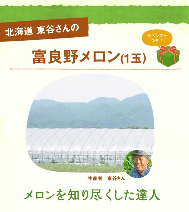 とろ～り完熟メロン｜ Oisix産直おとりよせ市場