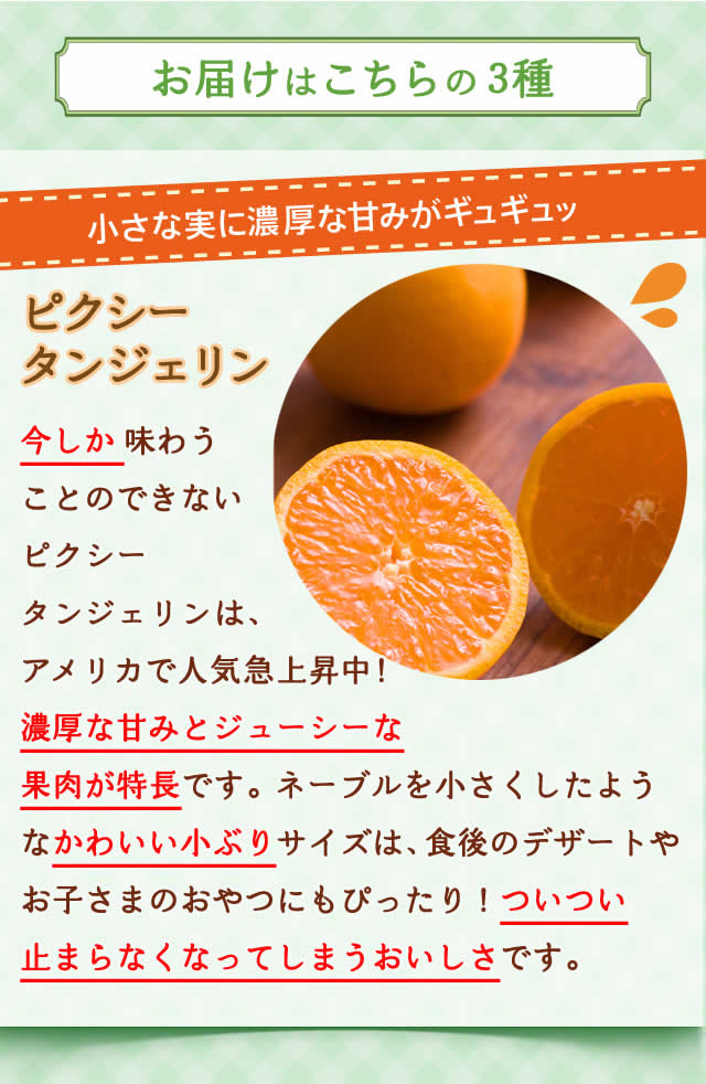 フルーツセット ｜ Oisix産直おとりよせ市場