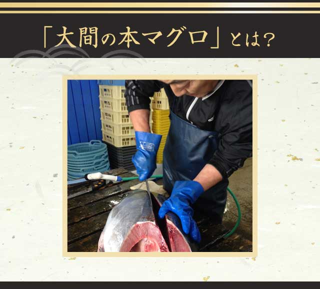天然大間本まぐろ(赤身・中トロ)セット ｜ Oisix産直おとりよせ市場