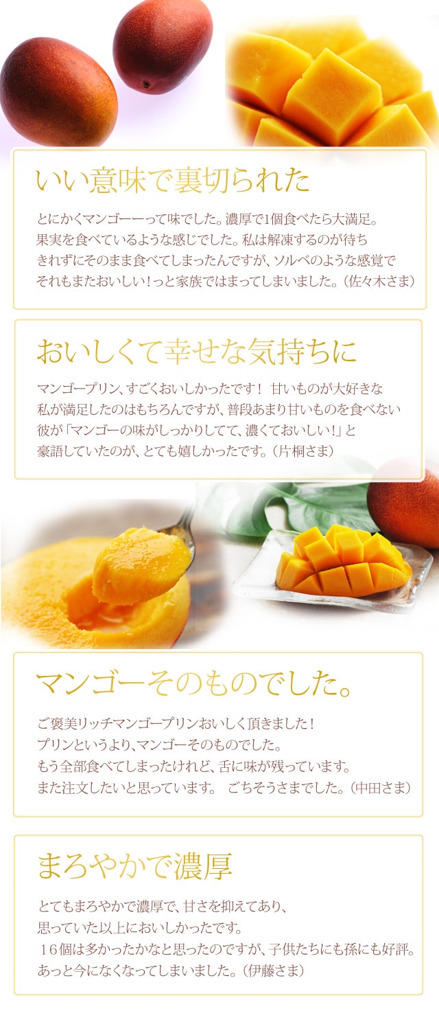 ご褒美リッチマンゴープリン ｏｉｓｉｘ産直おとりよせ市場