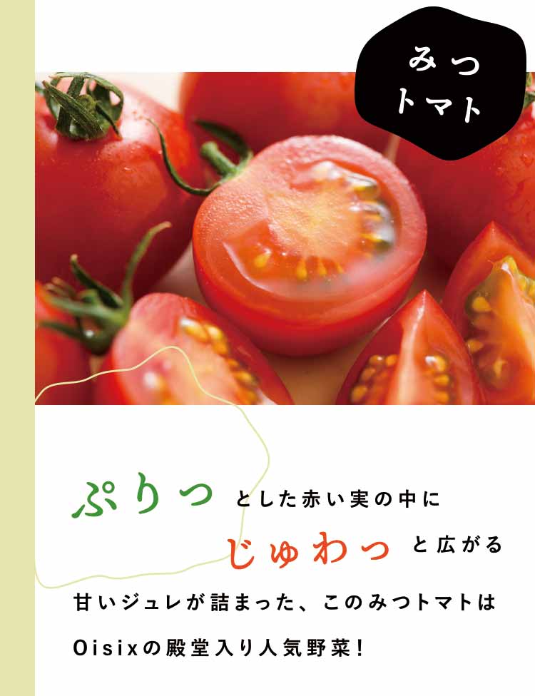Oisixのおためしセット