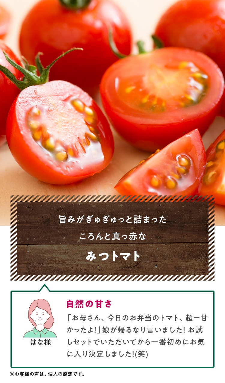 �|�݂����ガ����Ƌl�܂��������Ɛ^���ԂȂ݂g�}�g