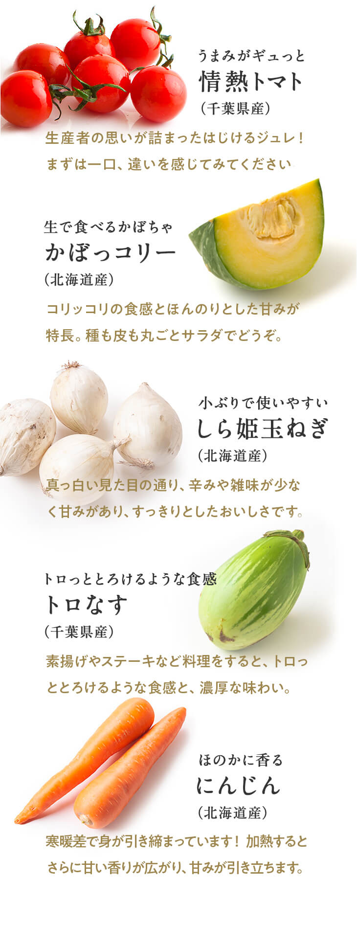 おすすめの野菜5品セット