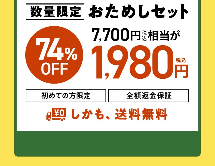 数量限定 おためしセット