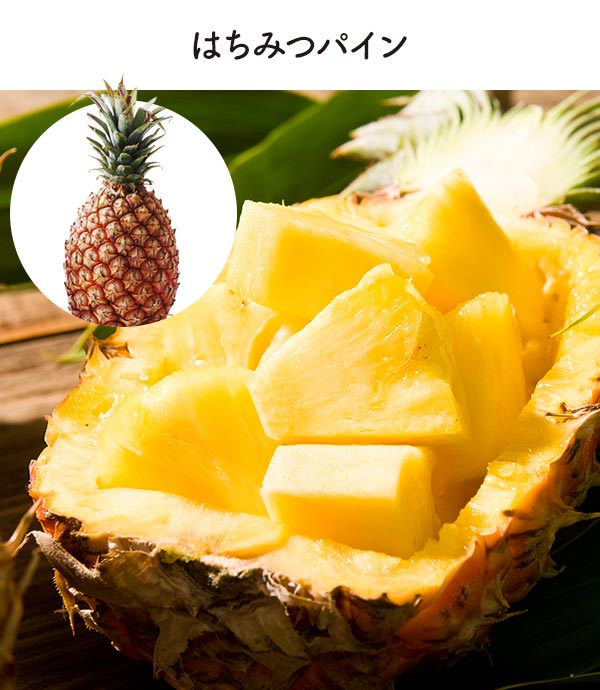 ݂͂pC