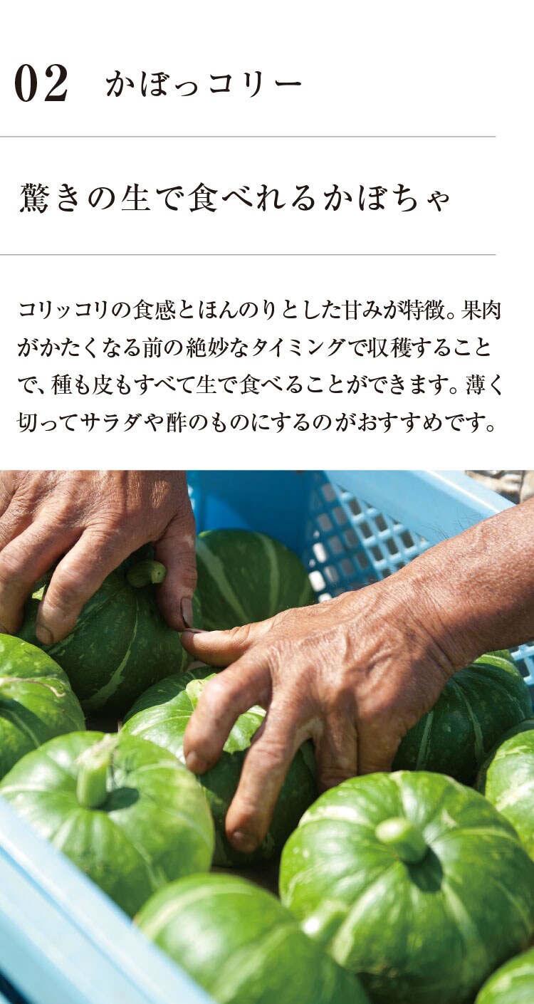 ڂR[