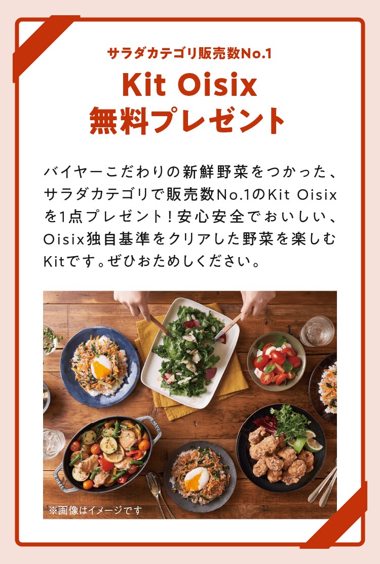 KitOisix�����v���[���g