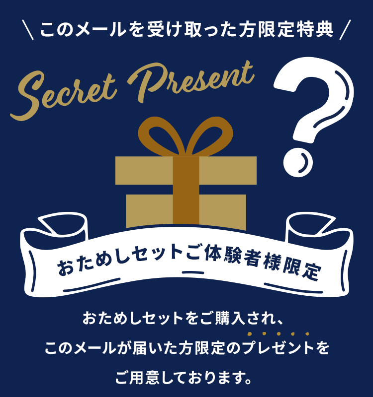 シークレットプレゼント