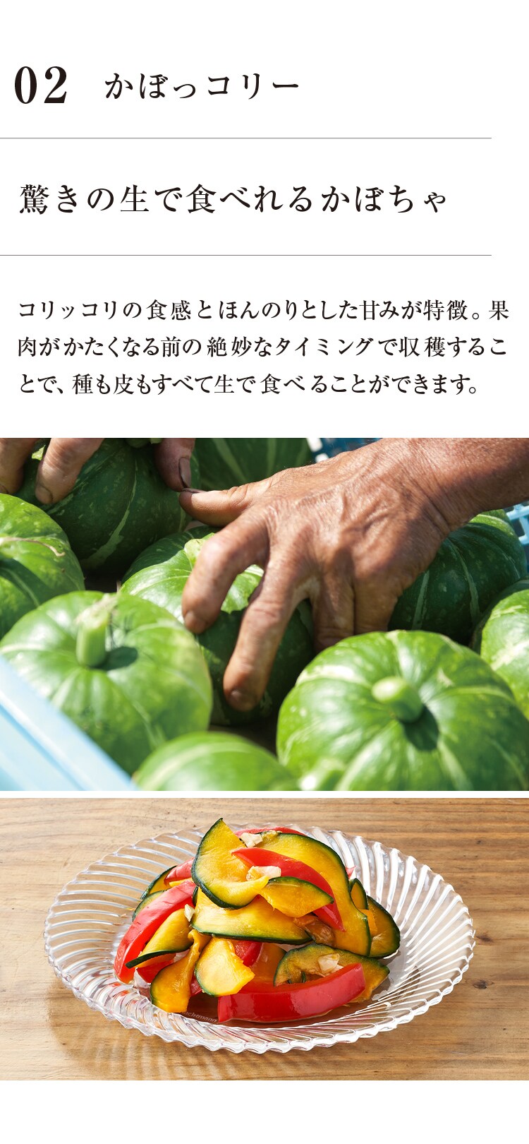 02ڂR[