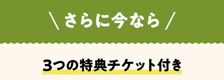 KitOisixpX|[g