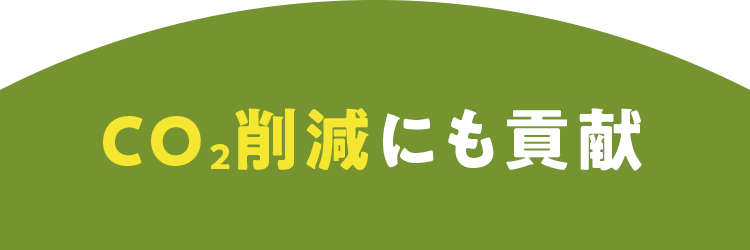 CO2팸ɂv