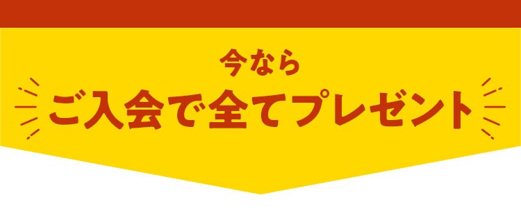 ������őS�ăv���[���g