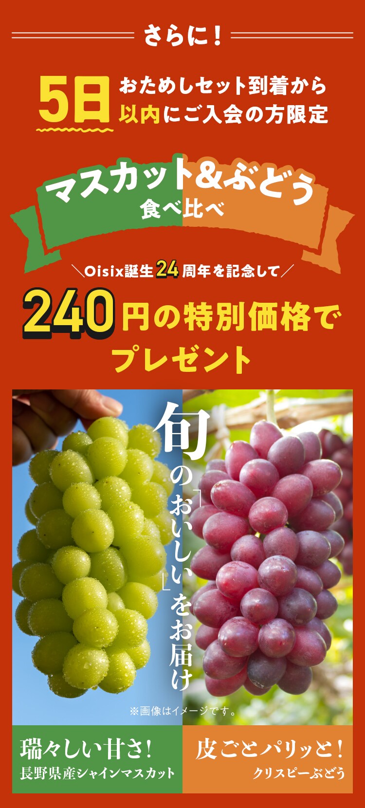ぶどう食べ比べ