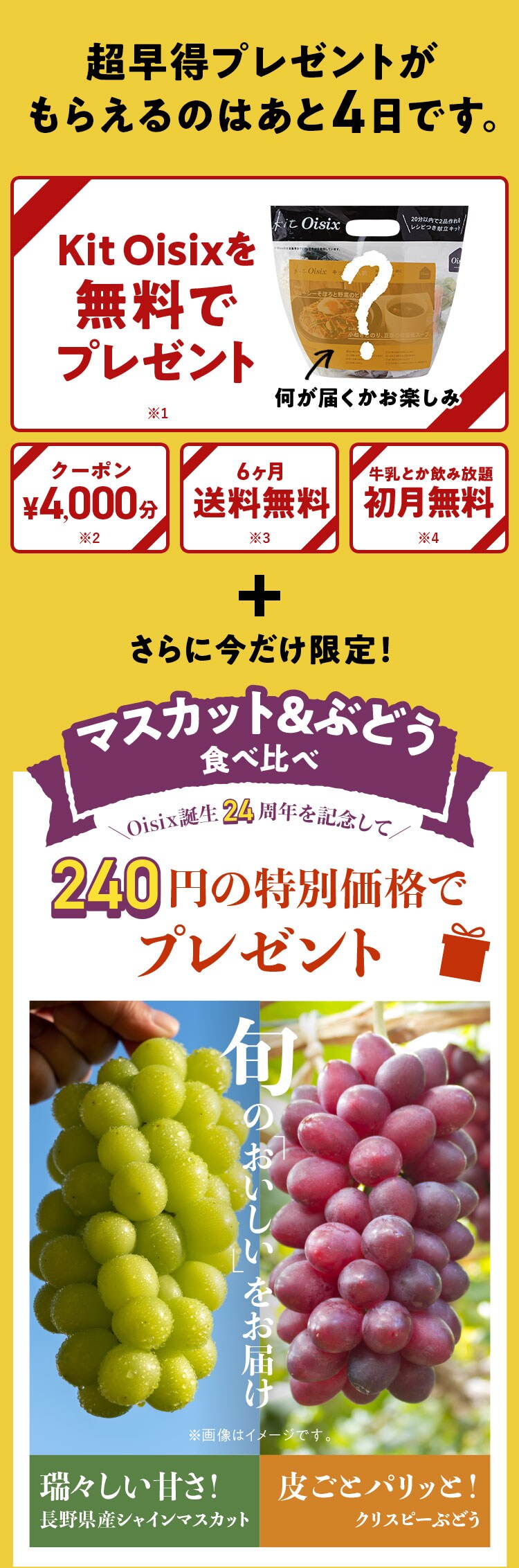 KitOisix