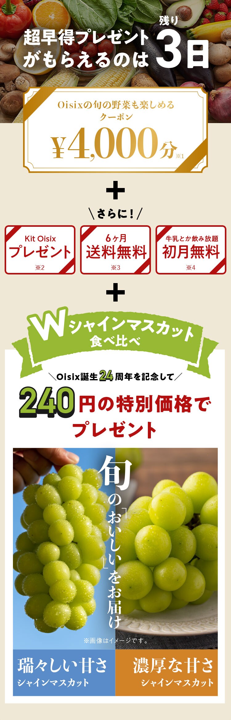 KitOisix