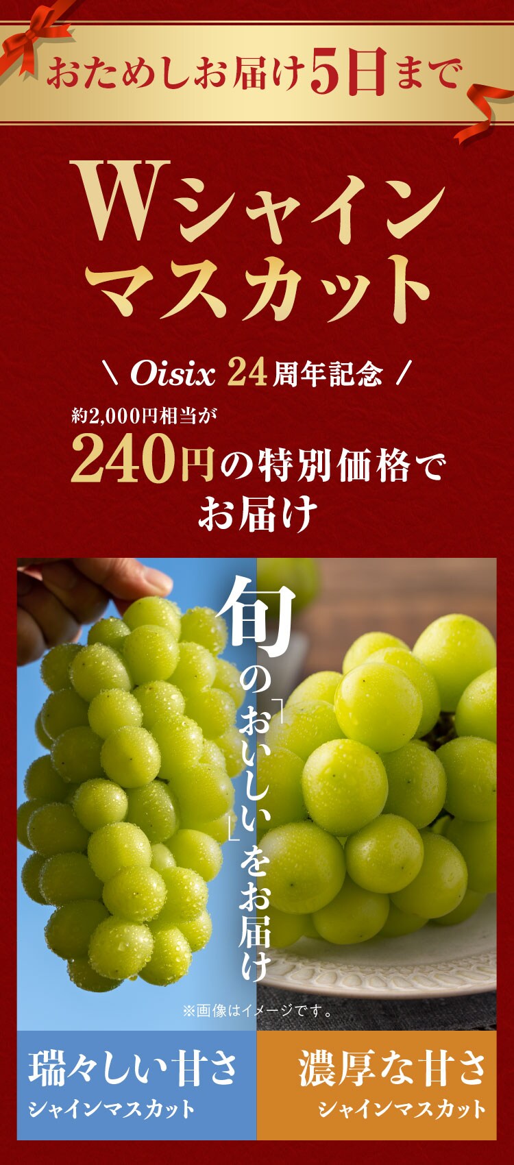 おためしお届け5日までのキャンペーン