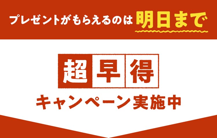 v[g炦͖̂܂